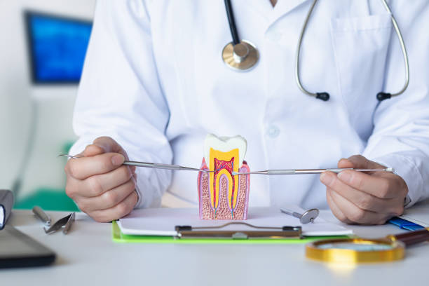 Best Emergency Treatment for Jaw Pain or Injury in Elysburg, PA